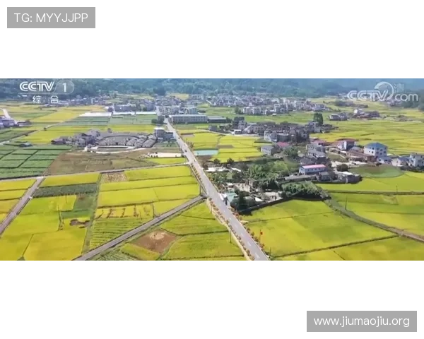 球探网即时比分足球比分直播让用户随时掌握比赛动态，享受足球带来的激情与乐趣