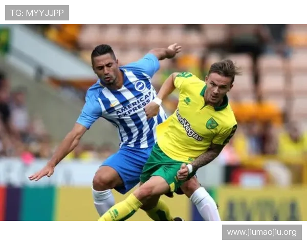 球探足球用户体验评测：真实用户分享软件使用中的优缺点与改进建议